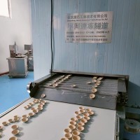 500kg蛋撻皮速凍機