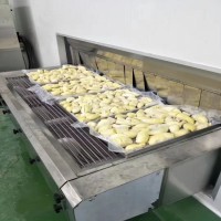 隧道式速凍機