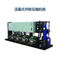 活塞式并聯(lián)壓縮機(jī)組