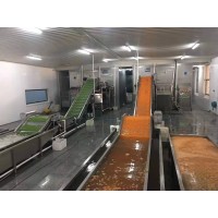 流態(tài)化速凍機