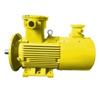 KBBP系列隔爆型變頻調速三相異步電動機