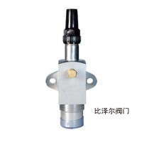 比澤爾閥門